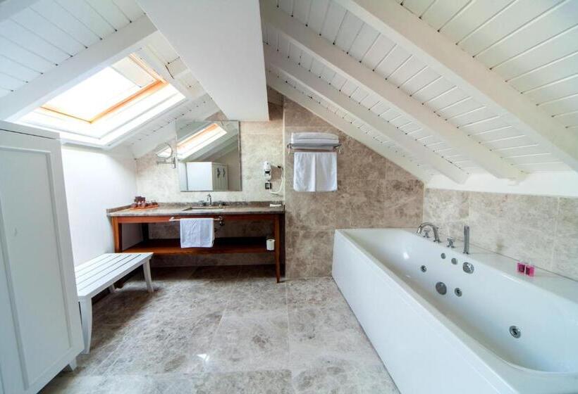 デラックススイート, Montania Special Class