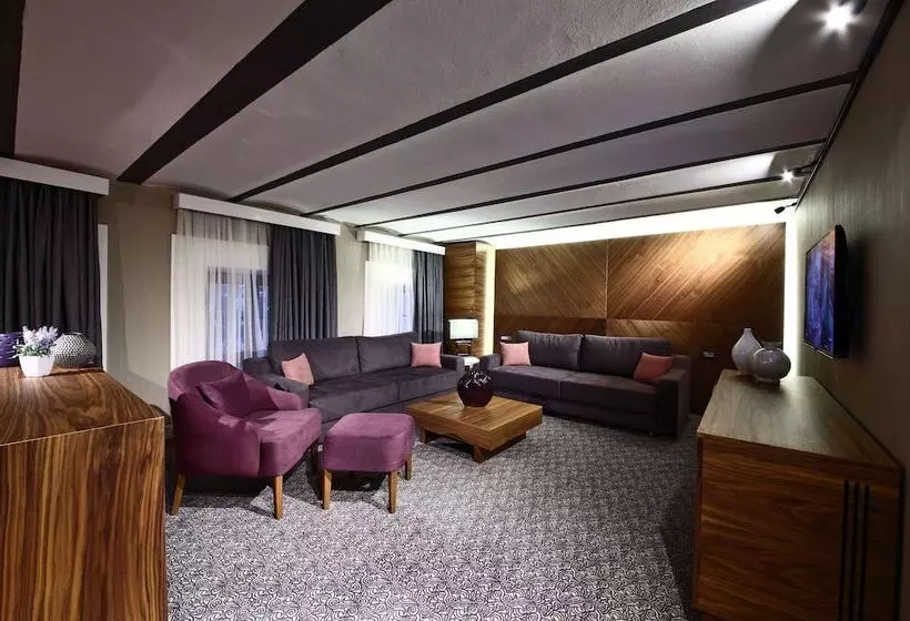 Suite Executive, Montania Special Class