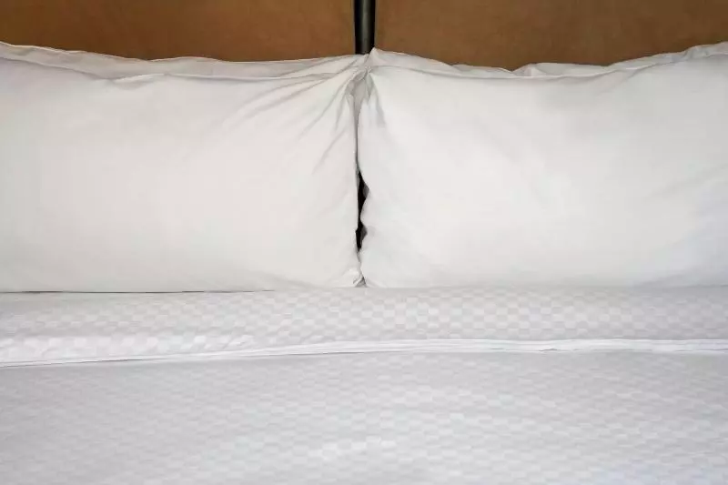 キングサイズベッドのスタンダードルーム, Sheraton Augusta