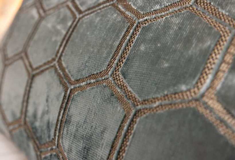 スタンダードルーム, Soder