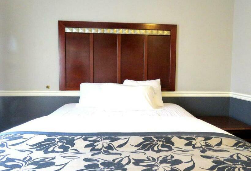 غرفة قياسية, La Bonita Inn Motel