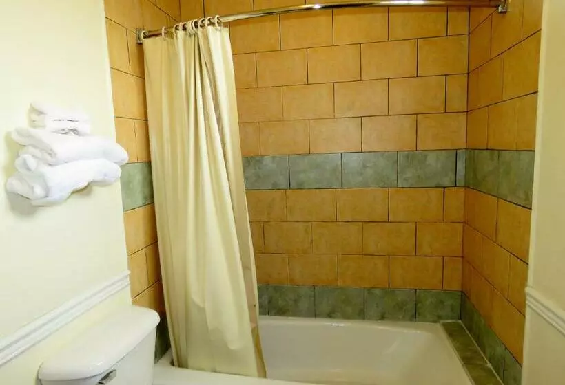 スタンダードルーム, La Bonita Inn Motel