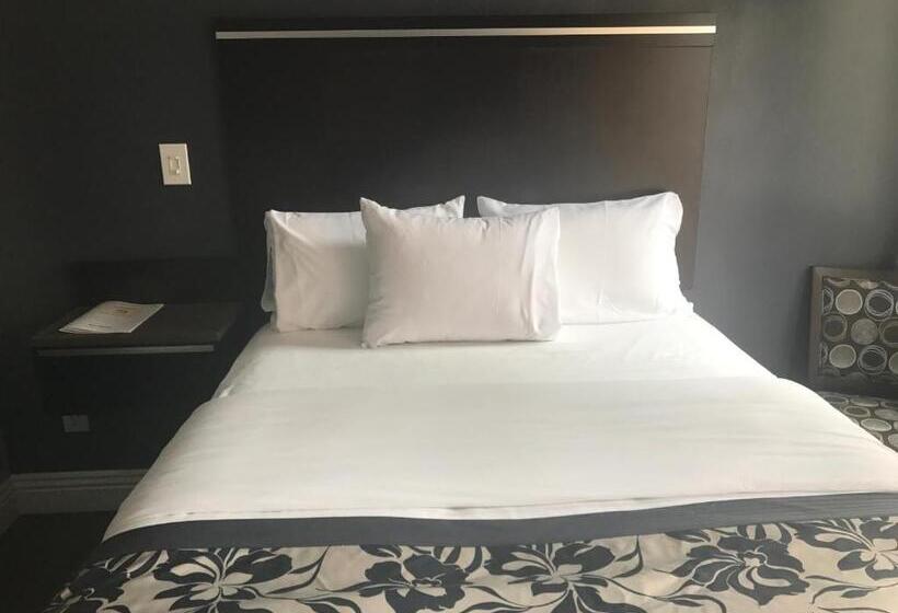 غرفة سوبيريور, La Bonita Inn Motel