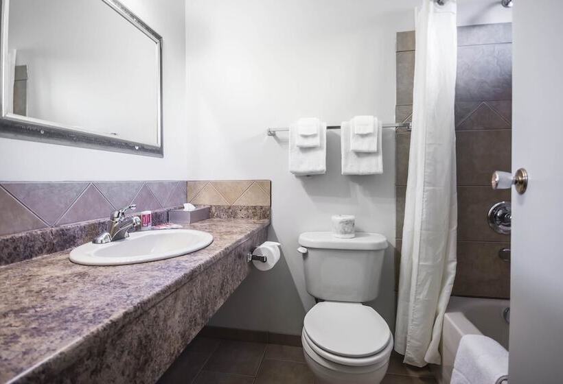 Номер Стандарт, Econo Lodge