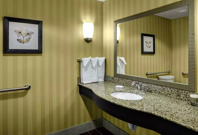 ２ダブルベッドのスタンダードルーム, Hilton Garden Inn Pittsburgh/cranberry