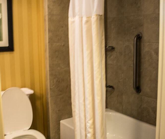 带2个双人床的标准工作室, Hilton Garden Inn Pittsburgh/cranberry