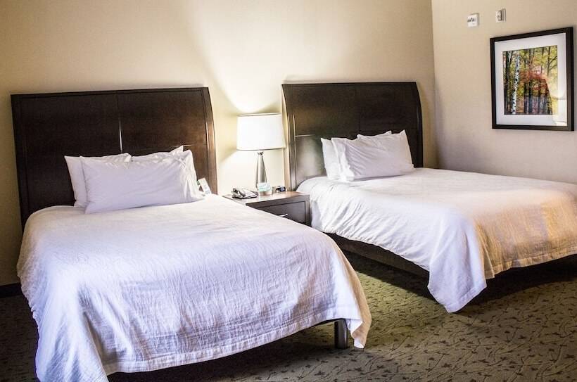 带2个双人床的标准工作室, Hilton Garden Inn Pittsburgh/cranberry