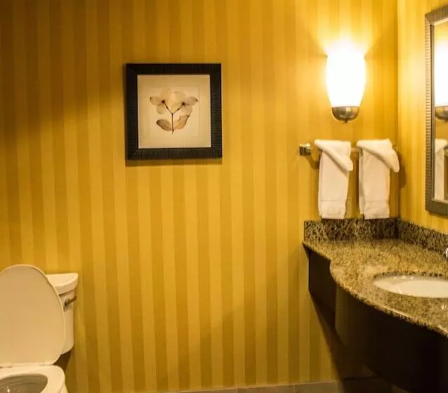 ２ダブルベッドのスタンダードルーム, Hilton Garden Inn Pittsburgh/cranberry