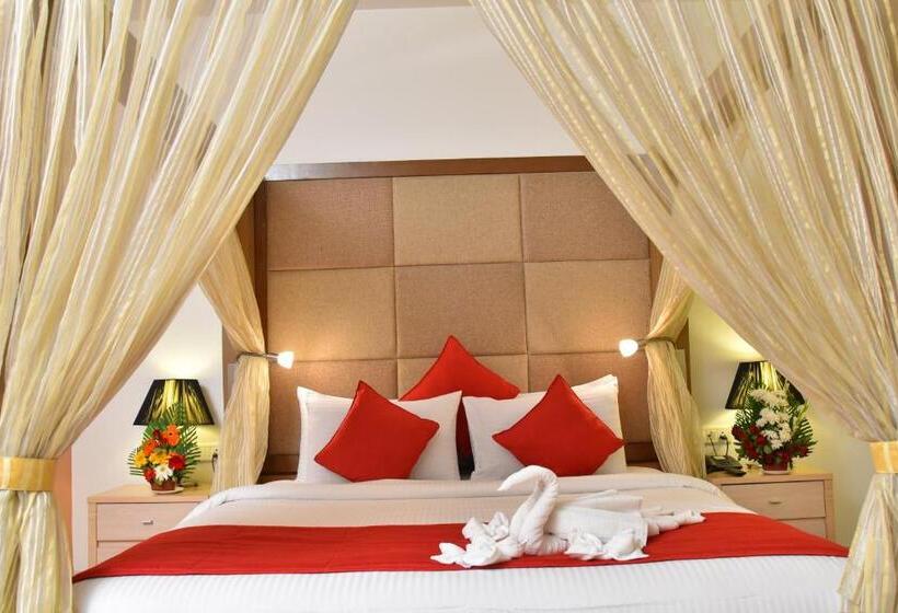 Номер Премиум, Seasons  Rajkot