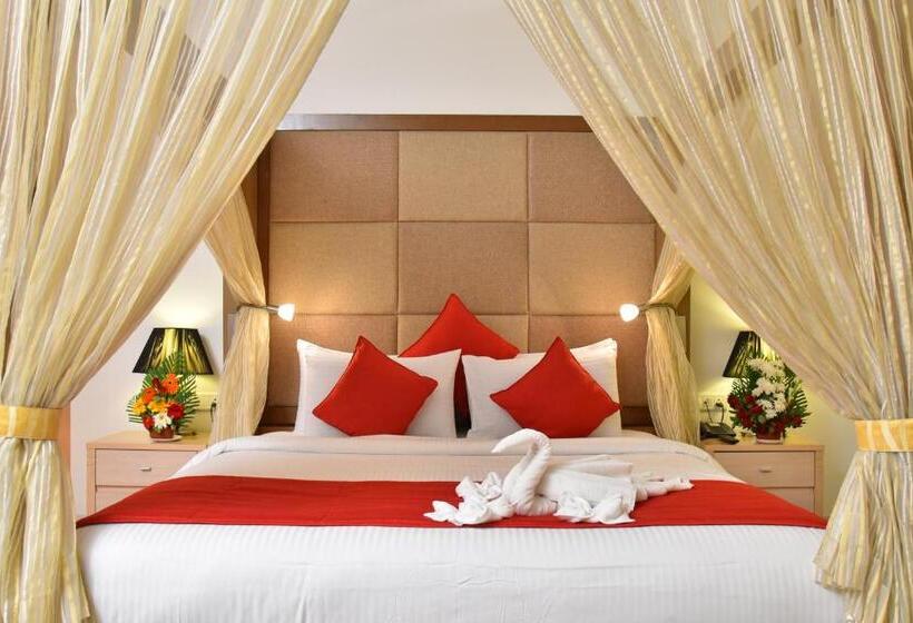 Quarto Premium, Seasons  Rajkot