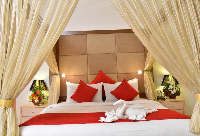 Quarto Premium, Seasons  Rajkot