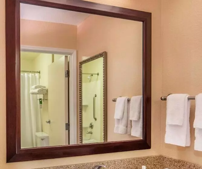 سوییت, Springhill Suites Laredo