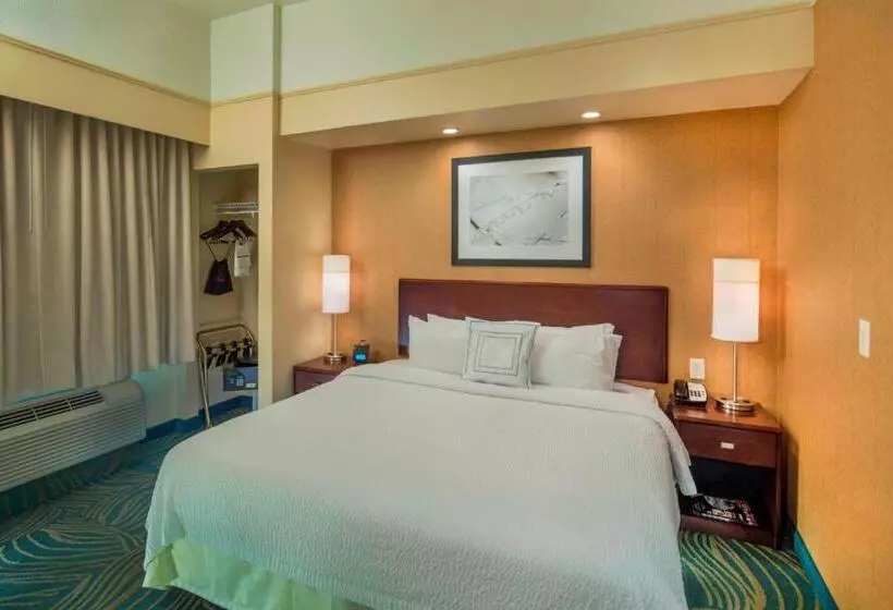 سوئیت با تخت بزرگ, Springhill Suites Laredo