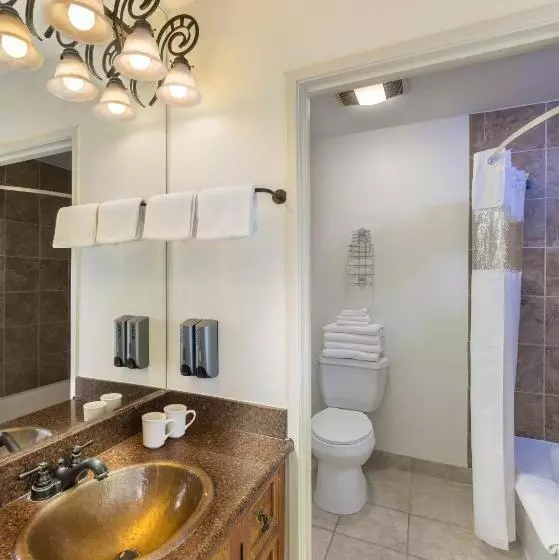 اتاق دلوکس با تخت کینگ و چشم‌انداز, Lake Powell Resort