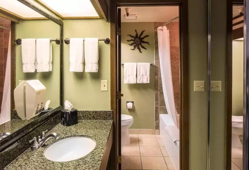 اتاق کلاسیک با تخت دونفره, Lake Powell Resort