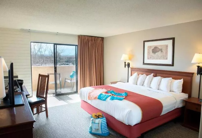 اتاق کلاسیک با تخت دونفره, Lake Powell Resort