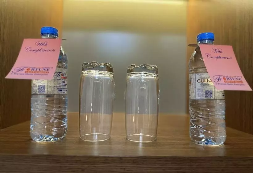 デラックスルーム, Fortune Plaza Hotel, Dubai Airport