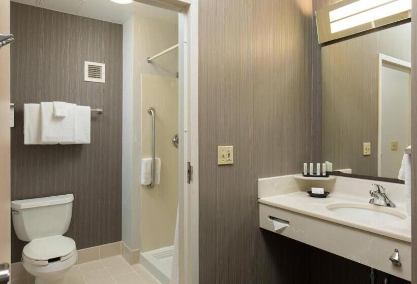 מיטת קינג בסוויטה, Courtyard Kansas City East/blue Springs