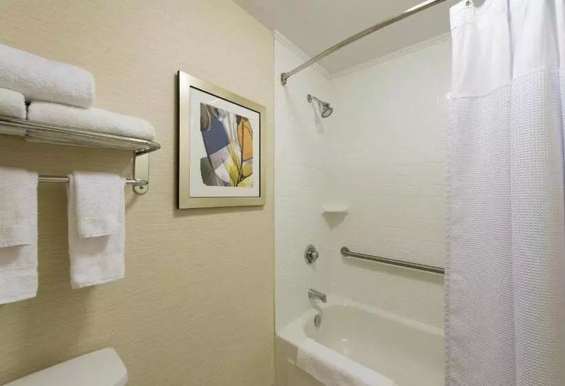 キングサイズベッドのスタンダードルーム, Fairfield Inn Orangeburg