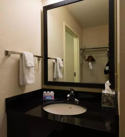 キングサイズベッドのスタンダードルーム, Fairfield Inn Orangeburg