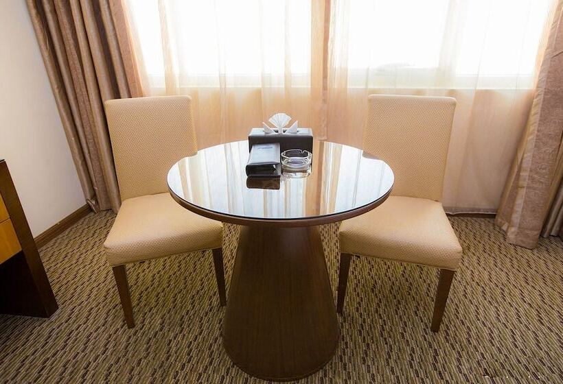 Номер Deluxe, Fortune Plaza Hotel, Dubai Airport