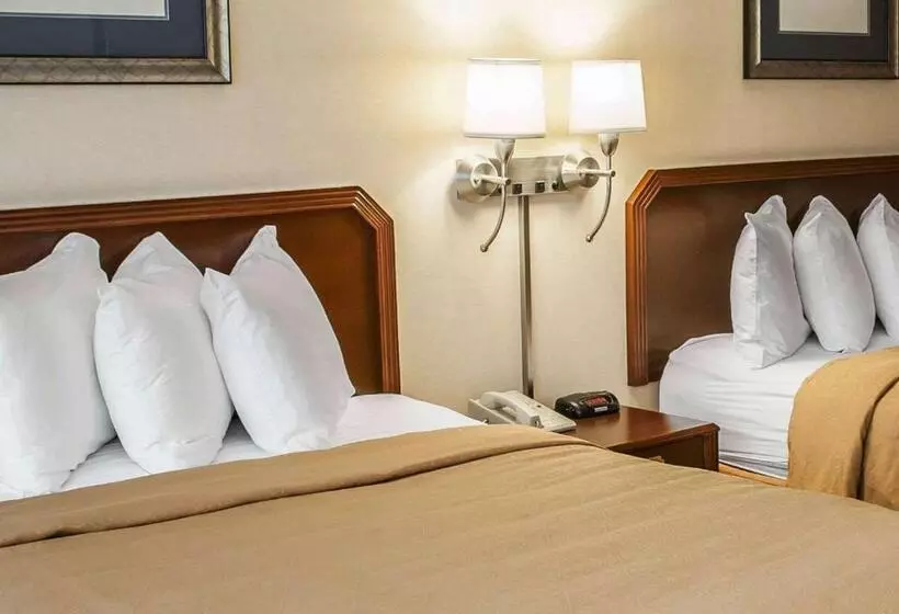 スタンダードルーム, Quality Inn & Suites