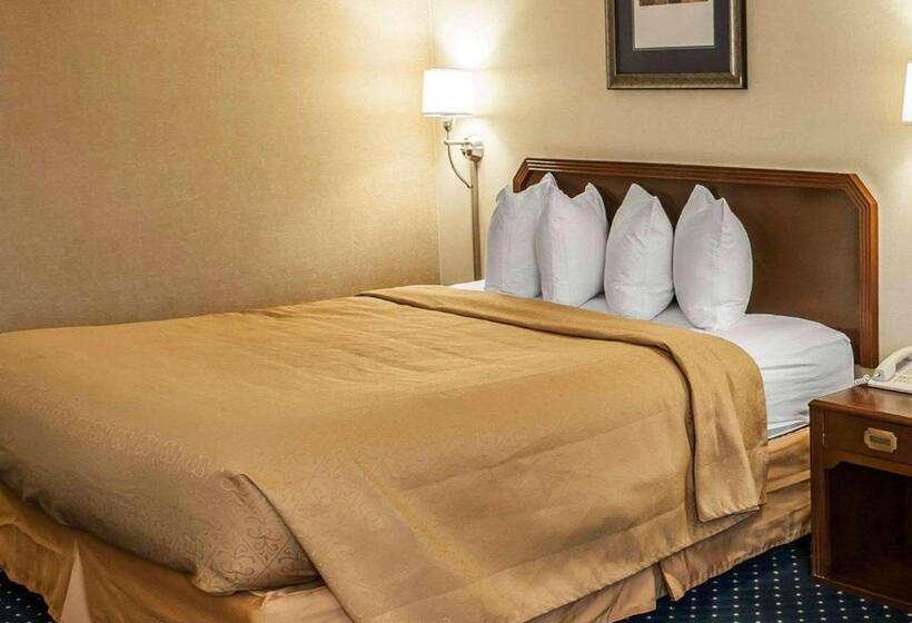 キングサイズベッドのスタンダードルーム, Quality Inn & Suites