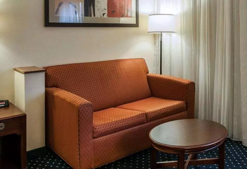 キングサイズベッドのスタンダードルーム, Quality Inn & Suites