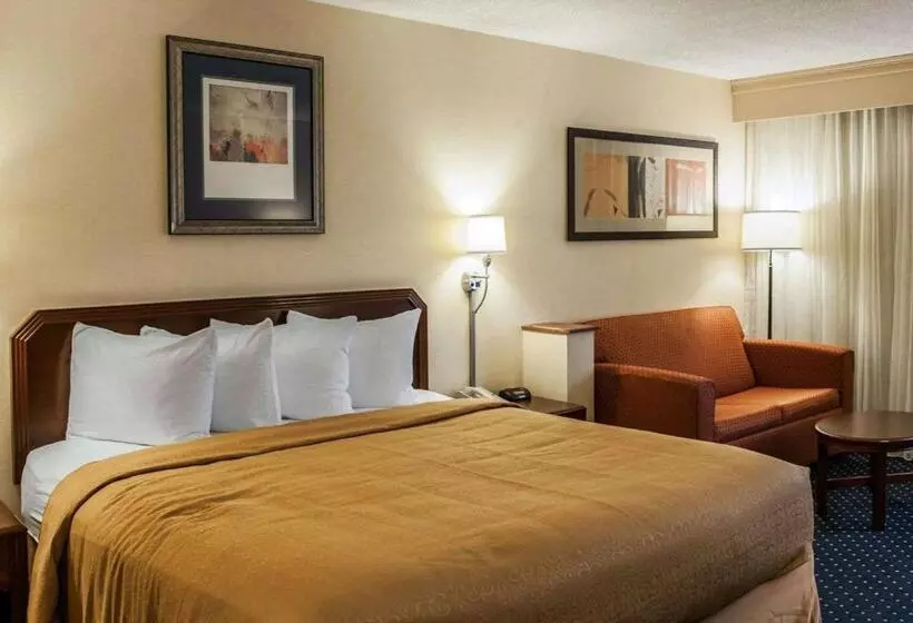 キングサイズベッドのスタンダードルーム, Quality Inn & Suites