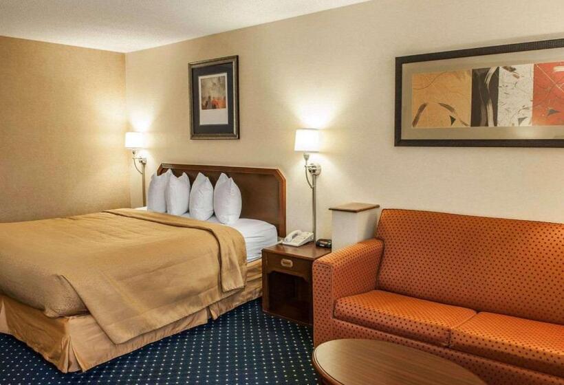 带大床的标准间, Quality Inn & Suites