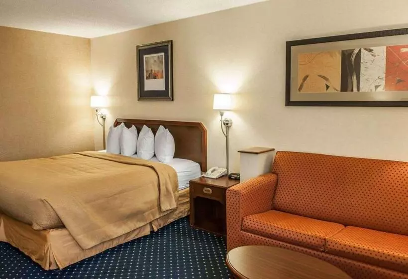 キングサイズベッドのスタンダードルーム, Quality Inn & Suites