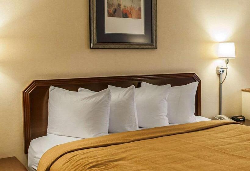 キングサイズベッドのスタンダードルーム, Quality Inn & Suites