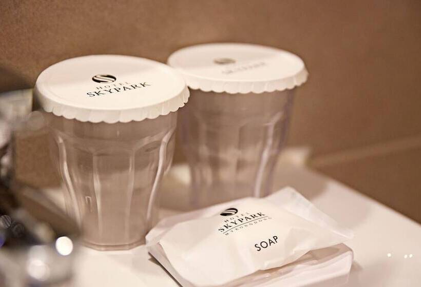 豪华房间, Skypark Central Myeongdong