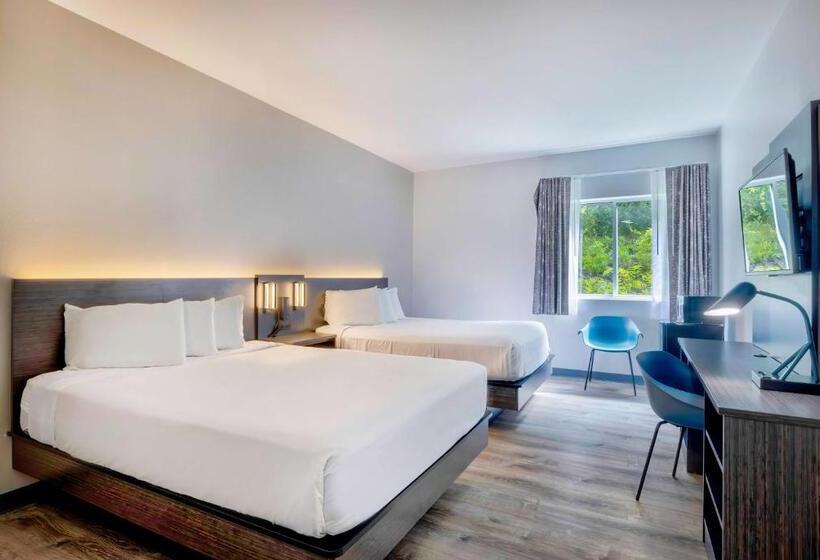 غرفة قياسية لذوى الاحتياجات الخاصة, Motel 6 Bethel, Ct  Danbury