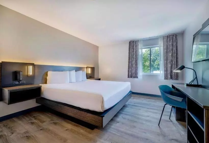 キングサイズベッドのスタンダードルーム, Motel 6 Bethel, Ct  Danbury