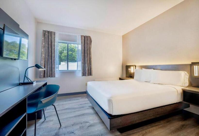 غرفة قياسية سرير كينج, Motel 6 Bethel, Ct  Danbury