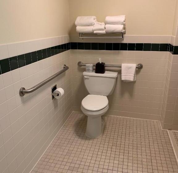 غرفة قياسية سرير كينج لذوى الإحتياجات الخاصة, Americinn By Wyndham Hampton