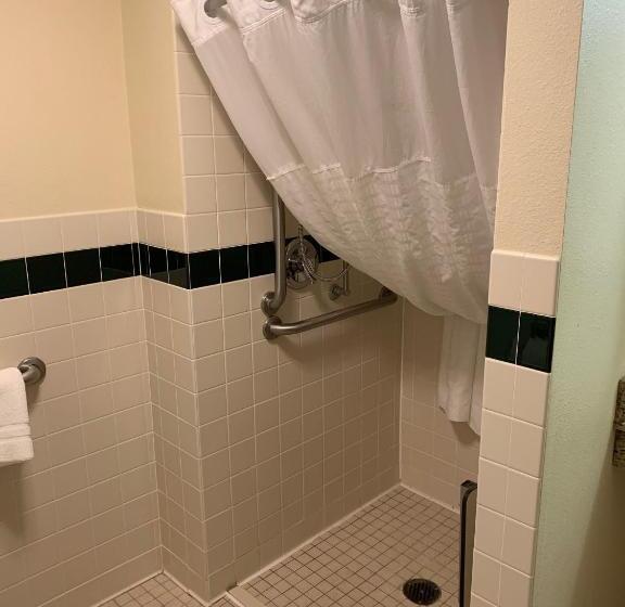 غرفة قياسية سرير كينج لذوى الإحتياجات الخاصة, Americinn By Wyndham Hampton