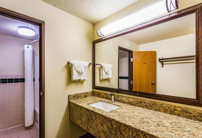 غرفة قياسية سرير كينج لذوى الإحتياجات الخاصة, Americinn By Wyndham Hampton