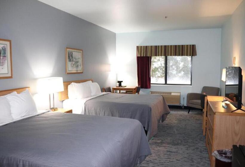 クイーンサイズベッドのスタンダードルーム, Bay Inn