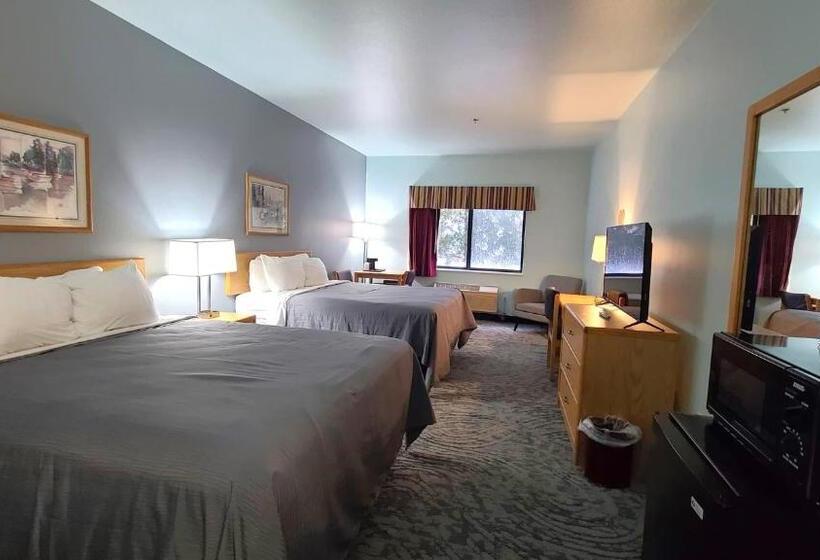 クイーンサイズベッドのスタンダードルーム, Bay Inn