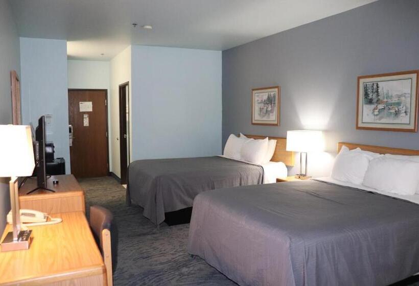 クイーンサイズベッドのスタンダードルーム, Bay Inn