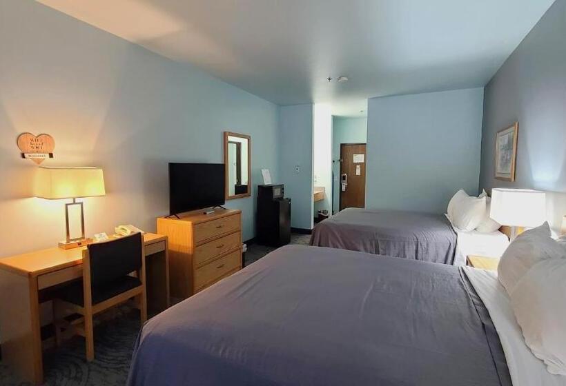クイーンサイズベッドのスタンダードルーム, Bay Inn