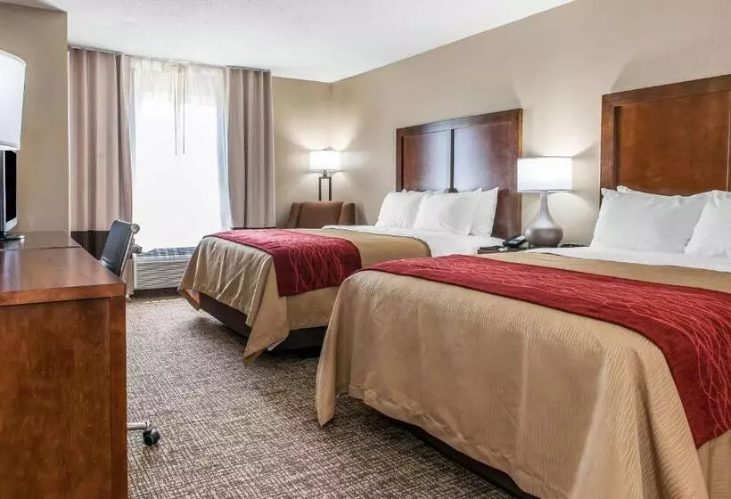 スタンダードルーム, Comfort Inn & Suites