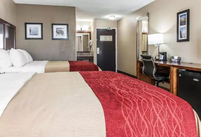 スタンダードルーム, Comfort Inn & Suites