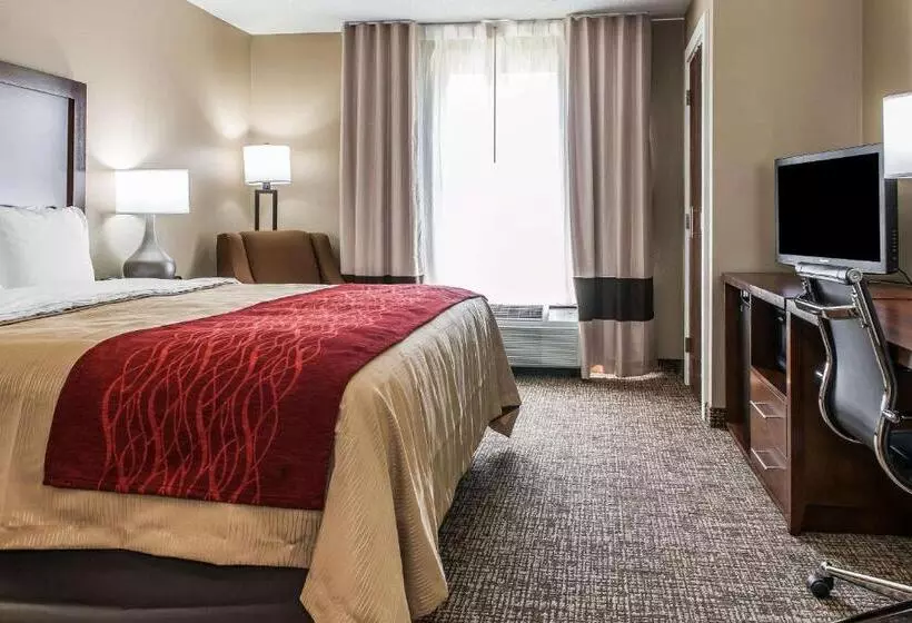 キングサイズベッドのスタンダードルーム, Comfort Inn & Suites