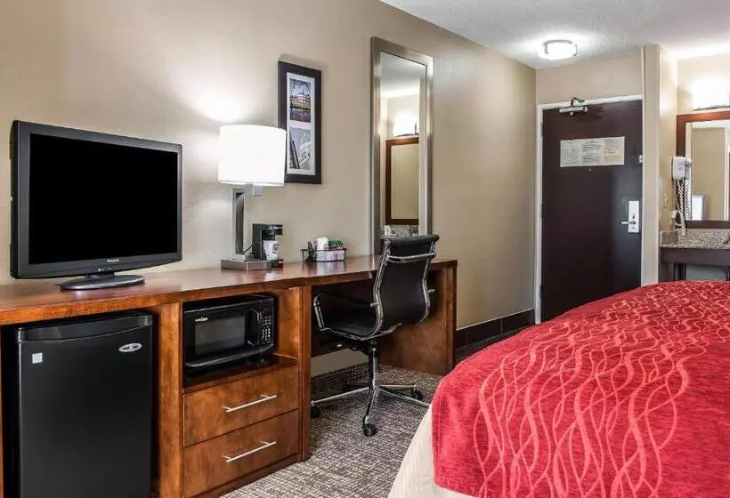 キングサイズベッドのスタンダードルーム, Comfort Inn & Suites