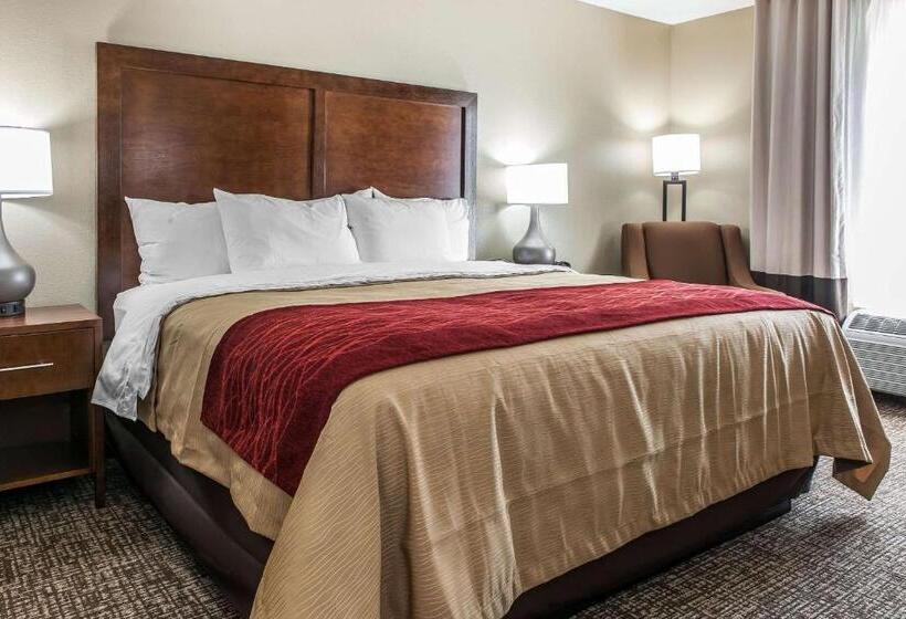 Стандартный Номер Кровать Кинг, Comfort Inn & Suites
