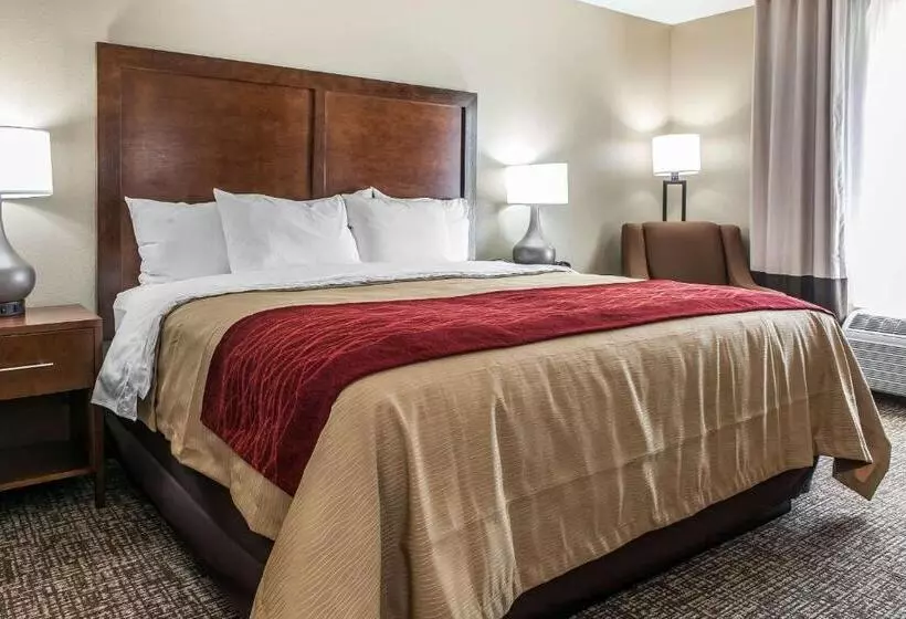 キングサイズベッドのスタンダードルーム, Comfort Inn & Suites