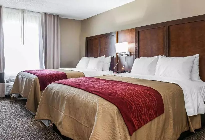 スイート, Comfort Inn & Suites